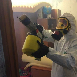 Уничтожение клопов в квартире. Слободской
